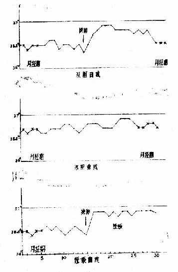 基础体温图