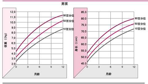 婴儿第一年（男）