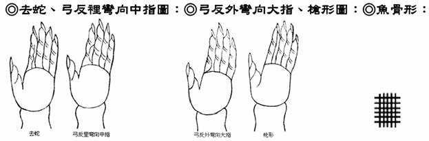 去蛇、弓反?e??向中指?D；弓反外??向大指、??形?D；?~骨形：