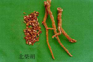 柴胡（图）_中医药书籍汇集【中药材大全】